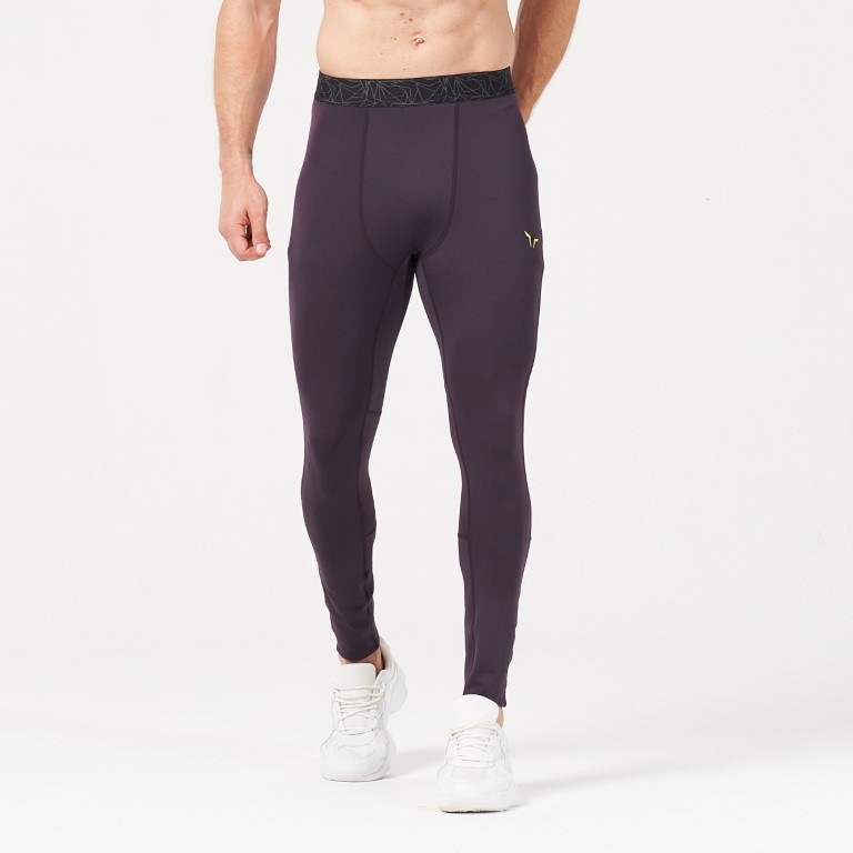 Lab360° TDry™ Gym Tights - Plum Perfect